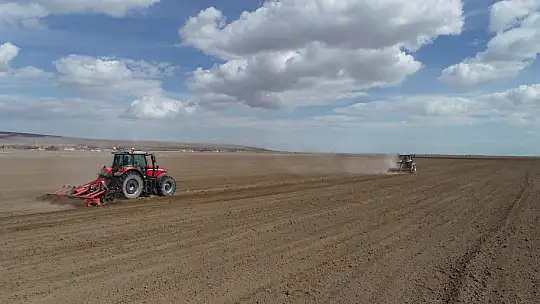 Konya'ya 800 bin metrekarelik aspir bitkisi ekilecek