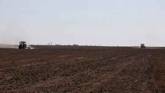 Konya'ya 800 bin metrekarelik aspir bitkisi ekilecek