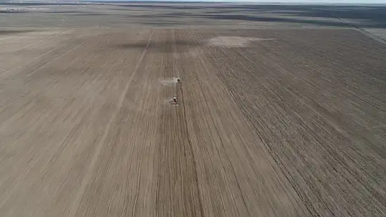 Konya'ya 800 bin metrekarelik aspir bitkisi ekilecek