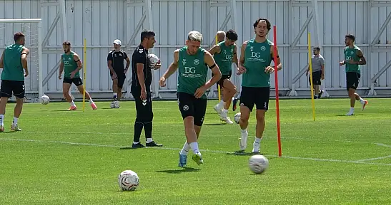 İlhan Palut'tan Fenerbahçe itirafı