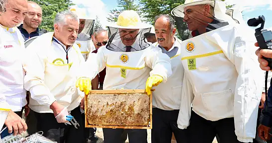 Konya'da 127 bin arı kolonisiyle 900 ton bal üretildi