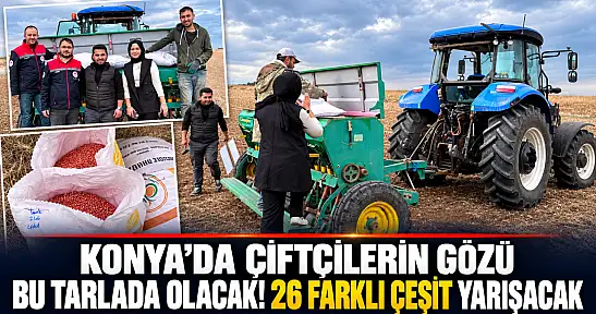 Konya'da çiftçilerin gözü bu tarlada olacak! 26 farklı çeşit yarışacak