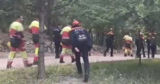 Konya'da hayvanlarını otlatan kadın kayboldu: Her yerde aranıyor!