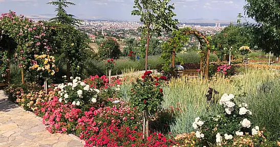 Konya'da huzur arayanların yeni değil vazgeçilmez adresi