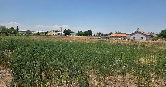 Konya'da zehir tacirlerine darbe: Çok sayıda kişi tutuklandı!