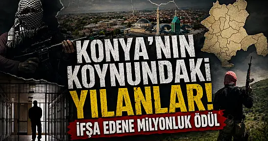 Konya'nın koynundaki yılanlar! İfşa edene milyonluk ödül