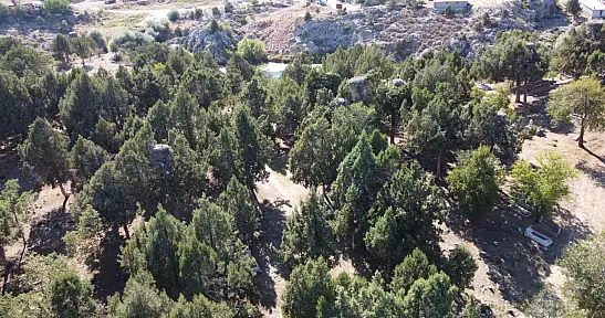 Milyonların gözü o yuvalardaydı: Leylekler vedasını etti, Beyşehir sessizliğe büründü!