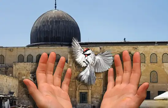 10 Kasım Cuma hutbesi Atatürk var mı? 10 Kasım 2023 Cuma hutbesi konusu ne?