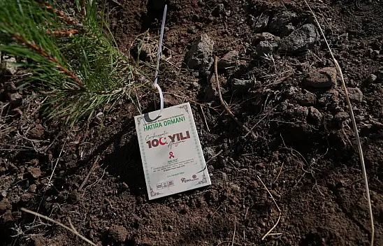 100.yılda 100 fidan toprakla buluştu