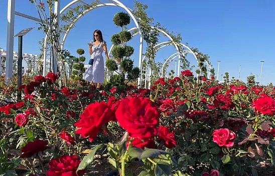 190 çeşit gül yetiştiriliyor