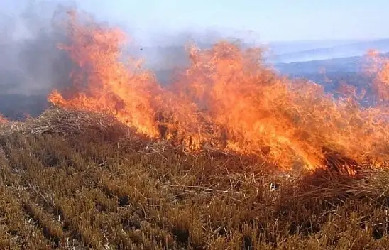 21. yüzyılda şaşırtan büyük toprak kaybı