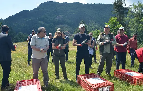 500 kınalı keklik doğaya salındı