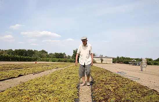 91 yaşında topraktan kopamayan çiftçi: Toprak emeğe saygısızlık yapmaz, hakkını verir