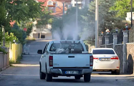 Aksaray'da haşere istilası
