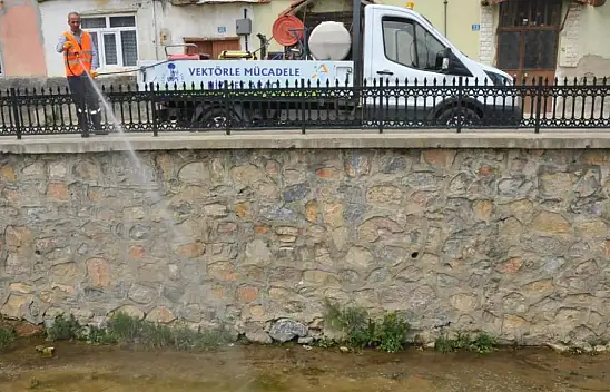 Akşehir Belediyesi'nden Simulium Sineğine anında müdahale