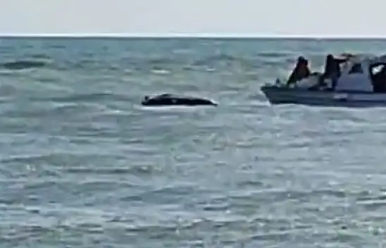 Alabora olan botta mahsur kalan iki kişiyi balıkçılar kurtardı