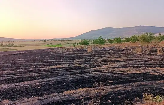 Konya'nın o ilçesinde araziler alevlere teslim oldu