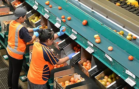 Almanya başlatmıştı! O ülkede 12 bin işçi alımı yapıyor! Başvurular ne zaman?