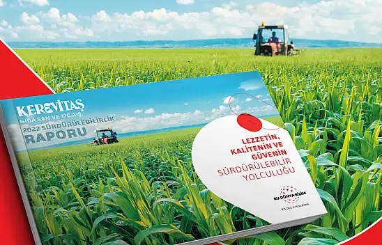 Aralarında Konya'nın da bulunduğu o rapor yayımlandı