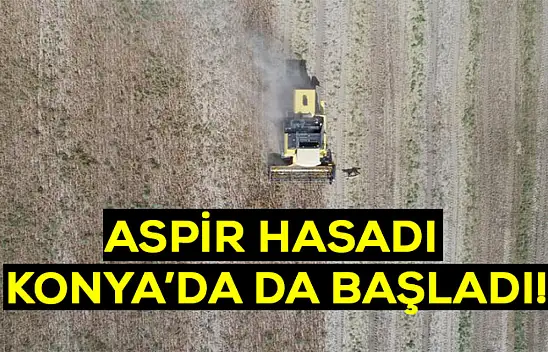 Aspir Hasadı Konya'da da başladı!
