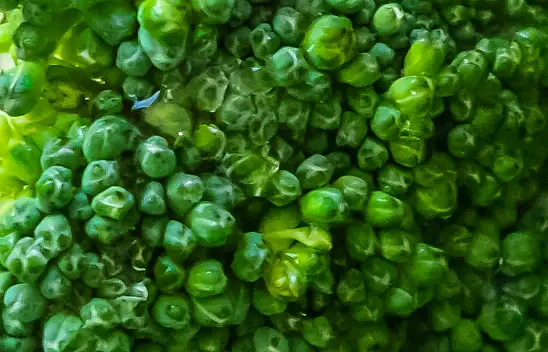 Astımı önlüyor, akciğerleri yeniliyor. Sofranızda bu yeşilliğe yer açın!