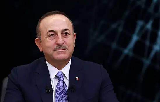 Bakan Çavuşoğlu: '1915 olayları siyasetçilerin kendi gündemlerine göre tanımlanamaz'