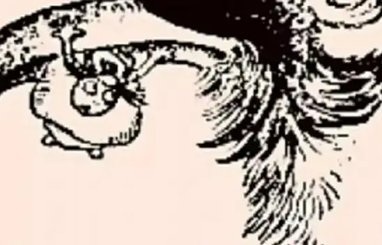 Balığı sorduk göremediler! Siz resimdeki balığı görebilecek misiniz? Süreniz 10 saniye…