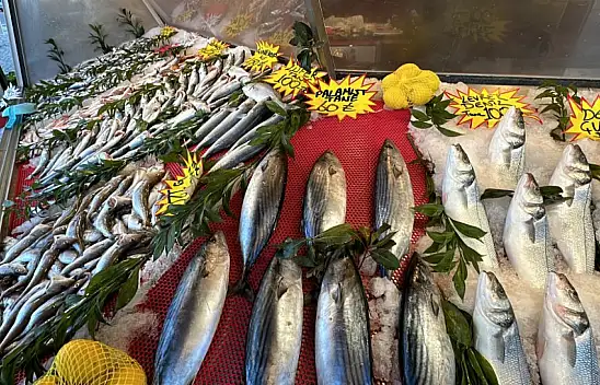 Balık fiyatları düşüşe geçti