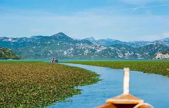 Balkanlar'ın Kalbinde Bir Mavi İncisi: Shkodra Gölü