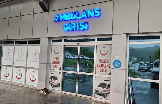  Balkonda dengesini kaybeden kadın 1. kattan aşağı düştü