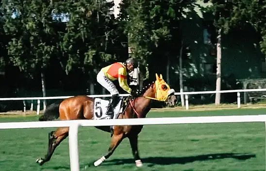 Bay Nalçakan kimin atı? Bay Nalçakan jokeyi kimdir? Bay Nalçakan Halis Karataş