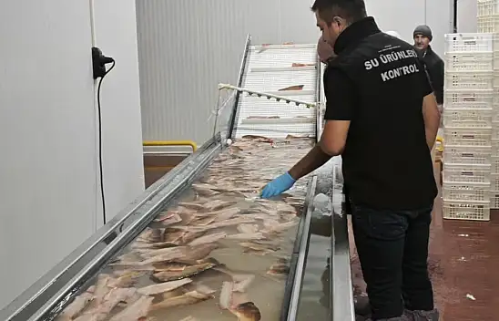 Beyşehir'de balıkçı tekneleri denetlendi