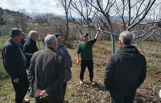 Beyşehir'de çiftçilere uygulamalı ağaç bakım eğitimi