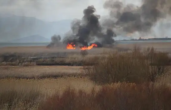 Beyşehir Gölü Milli Parkı sazlıkları alevlere teslim oldu