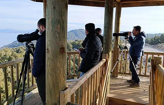 Beyşehir Gölü'nde kış ortası kuş su sayımı tamamlandı