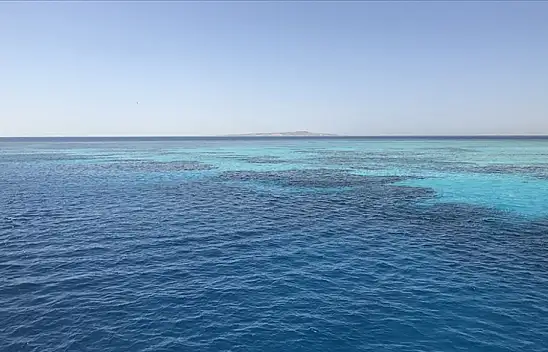 BM: 32 milyon dolara ihtiyaç var