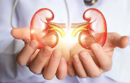 Böbrek hastaları, Ramazanda su tüketimine dikkat!