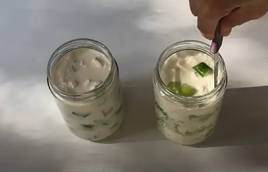 Boşnakların tadına doyulmaz soka turşusu. Sütle yapılıyor 15 günde sofraya geliyor…