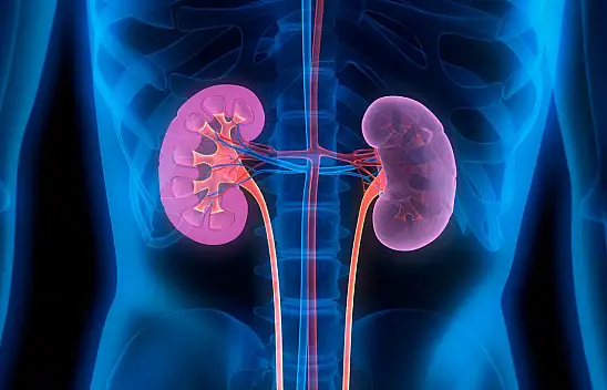 Bu besinlerden uzak durun: Yutar yutmaz böbrek taşına dönüşüyor!