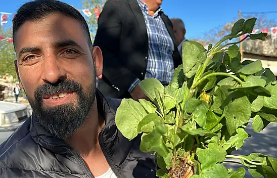 Bu ot başka ot, her derde deva