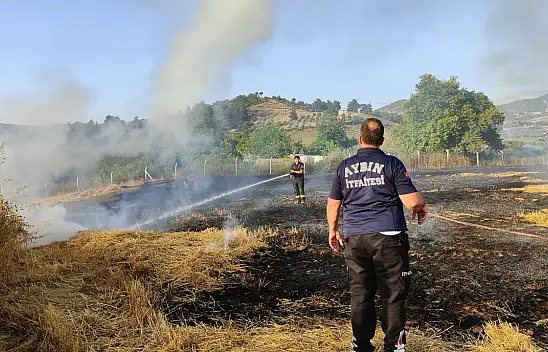 Buğday tarlasında çıkan yangın korkuttu
