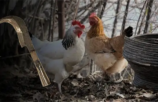 Büyük kavgada 10 kişi yaralandı