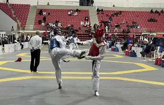 Büyükler Türkiye Tekvando Şampiyonası, Konya'da sona erdi