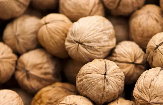 Ceviz çok çabuk bozuluyorsa bu yöntemle bozulmayacak! İşte bilmeniz gereken saklama tüyosu 