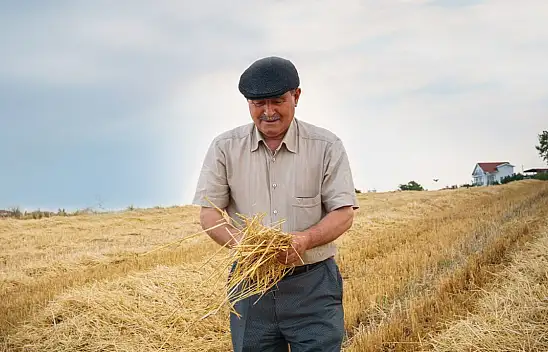 Çiftçiler dikkat: Tarım Bakanlığı hesaplara yatırılacak ödemeyi resmen duyurdu!