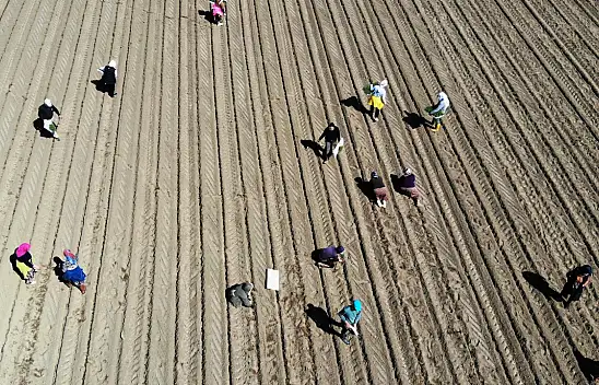 Çiftçilere destek ödemesi yapıldı