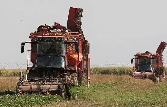 Çiftçilere müjde: yarın banka hesabınızda!