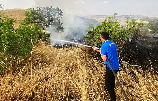 Çıkan yangın 65 dönüm buğday kül etti