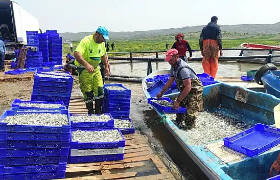Deniz olmayan o ilden Avrupa'ya balık ihracatı