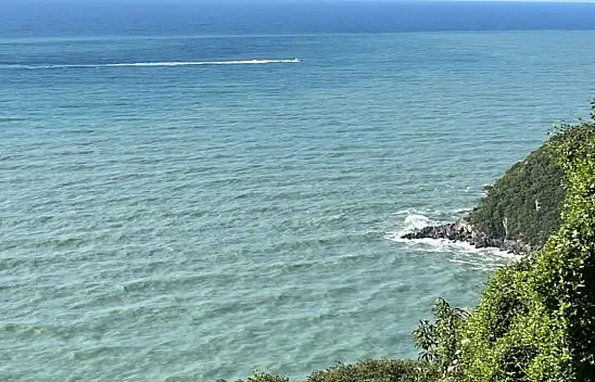 Denizde kayboldu arama çalışması başlatıldı